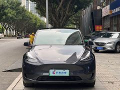 Tesla Model Y Rear-Wheel Drive - ფოტო 2