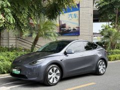 Tesla Model Y Standard Range RWD - ფოტო 1