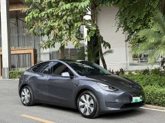 Tesla Model Y Standard Range RWD - ფოტო 2