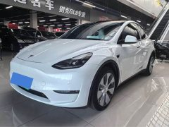 Tesla Model Y Long Range All-Wheel Drive - ფოტო 1