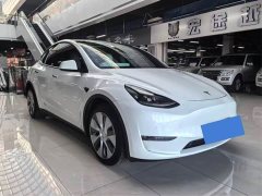 Tesla Model Y Long Range All-Wheel Drive - ფოტო 3