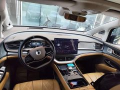 Denza D9 2022 DM-i 970 AWD Flagship - ფოტო 9
