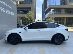 Tesla Model Y Rear-Wheel Drive - ფოტო 3