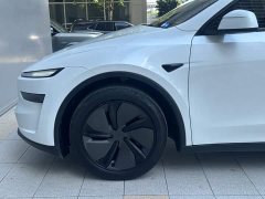 Tesla Model Y Rear-Wheel Drive - ფოტო 5