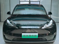 Tesla Model Y Rear-Wheel Drive - ფოტო 1