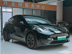 Tesla Model Y Rear-Wheel Drive - ფოტო 2