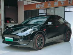 Tesla Model Y Rear-Wheel Drive - ფოტო 3