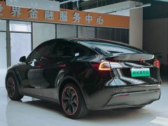Tesla Model Y Rear-Wheel Drive - ფოტო 5