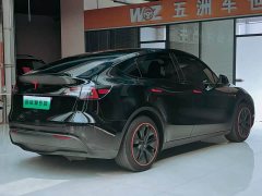 Tesla Model Y Rear-Wheel Drive - ფოტო 6