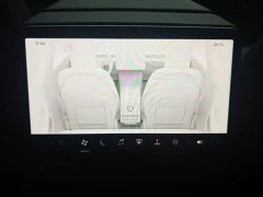 Tesla Model 3 Rear-Wheel Drive - ფოტო 11