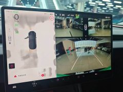 Tesla Model 3 Rear-Wheel Drive - ფოტო 17