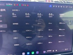Xiaomi YU7 Four-Wheel Drive Max Edition - ფოტო 16
