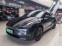 Tesla Model Y Long Range All-Wheel Drive - ფოტო 1