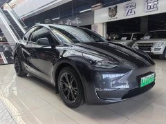Tesla Model Y Long Range All-Wheel Drive - ფოტო 3