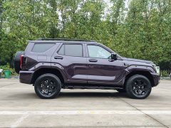 Tank 400 New Energy Hi4-Z Smart Comfort Edition - ფოტო 8