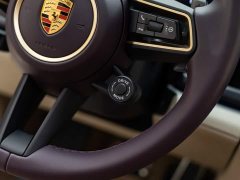 Porsche Panamera 2.9T - ფოტო 19