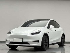 Tesla Model Y Rear-Wheel Drive - ფოტო 1