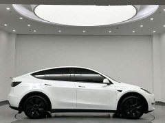 Tesla Model Y Rear-Wheel Drive - ფოტო 3