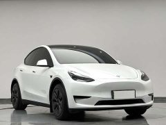 Tesla Model Y Rear-Wheel Drive - ფოტო 4