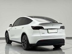 Tesla Model Y Rear-Wheel Drive - ფოტო 5