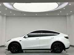 Tesla Model Y Rear-Wheel Drive - ფოტო 6