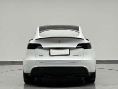 Tesla Model Y Rear-Wheel Drive - ფოტო 8