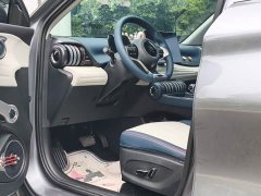 BYD Yuan Plus 2022 510KM Flagship - ფოტო 13