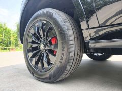 Tank 500 New Energy Hi4-Z Black Warrior - ფოტო 9