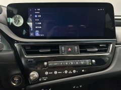Lexus ES 2022 300h Premium Edition - ფოტო 15