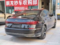 Volkswagen Passat Facelift 330TSI Starry Sky Luxury Edition - ფოტო 9