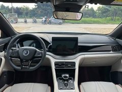BYD Song Plus New Energy 2021 DM-i 110KM Flagship - ფოტო 11