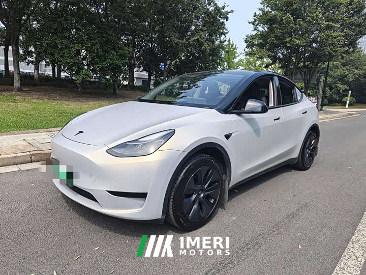 Tesla Model Y Rear-Wheel Drive