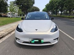 Tesla Model Y 2024 Rear-Wheel Drive - ფოტო 2