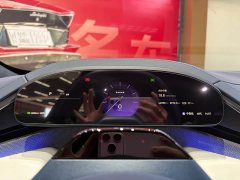 Zeekr Geely Zeekr 001 WE Edition 95kWh AWD - ფოტო 18