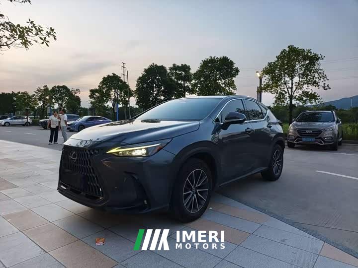 Lexus NX 260 FWD Joyful Edition - ავტომობილი ჩინეთიდან