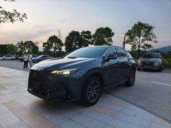 Lexus NX 260 FWD Joyful Edition - ფოტო 1