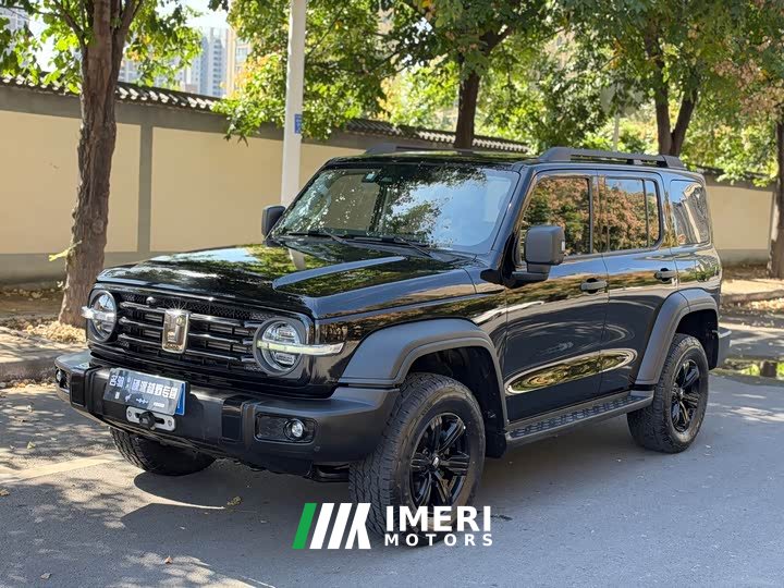 Tank 300 Off-Road Edition 2.0T Conqueror - ავტომობილი ჩინეთიდან