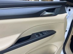 Buick GL8 Land Executive Cabin Advance Edition - ფოტო 8