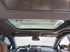 Leapmotor D19 Extended Range 500 Deluxe Edition Six-Seater - ფოტო 13