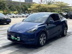Tesla Model Y Long Range All-Wheel Drive - ფოტო 1