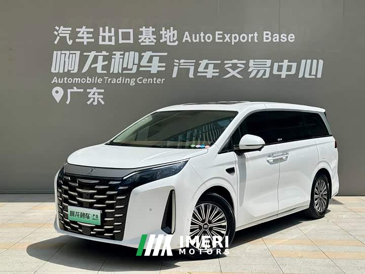 BYD Summer DM-i 1.5T 180km Exceed - ავტომობილი ჩინეთიდან