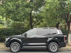 Tank 500 3.0T Sport Landscape 7-Seater - ფოტო 3
