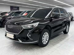 Haval M6 PLUS 1.5T DCT Luxury Smart Connected Edition - ფოტო 1