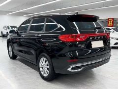 Haval M6 PLUS 1.5T DCT Luxury Smart Connected Edition - ფოტო 4