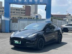 Tesla Model Y Standard Range RWD - ფოტო 1