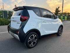 BYD Ant 200,000 Ant Fans Edition Vitality Version Ternary Lithium 408km - ფოტო 14