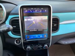 BYD Ant 200,000 Ant Fans Edition Vitality Version Ternary Lithium 408km - ფოტო 16