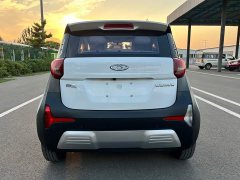 BYD Ant 200,000 Ant Fans Edition Vitality Version Ternary Lithium 408km - ფოტო 18