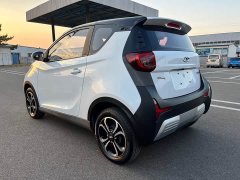 BYD Ant 200,000 Ant Fans Edition Vitality Version Ternary Lithium 408km - ფოტო 19