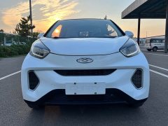 BYD Ant 200,000 Ant Fans Edition Vitality Version Ternary Lithium 408km - ფოტო 2